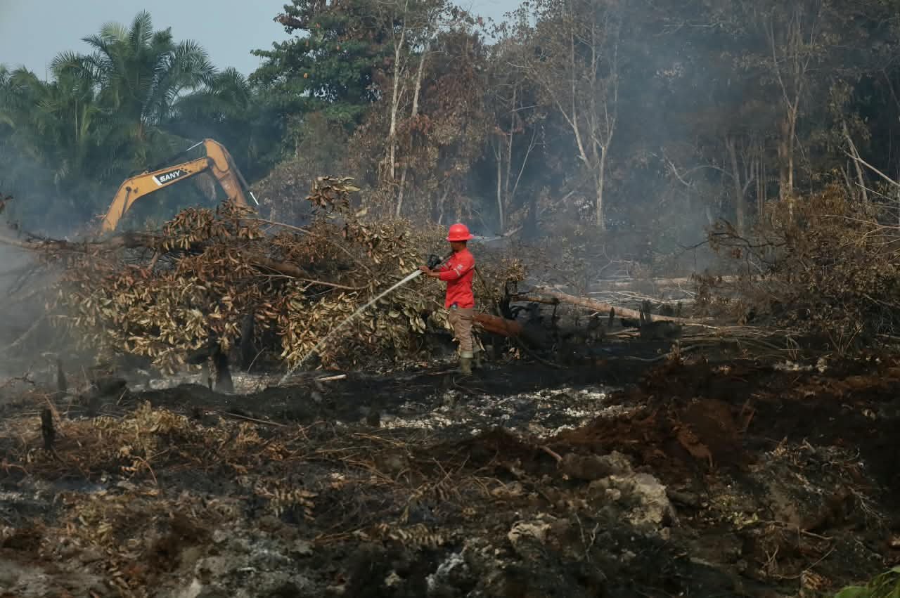 Update Karhutla Riau: Lahan Terbakar Capai 18.770 Hektar