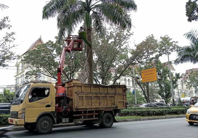 DLHK Ajukan Penambahan Armada Pemangkas Pohon