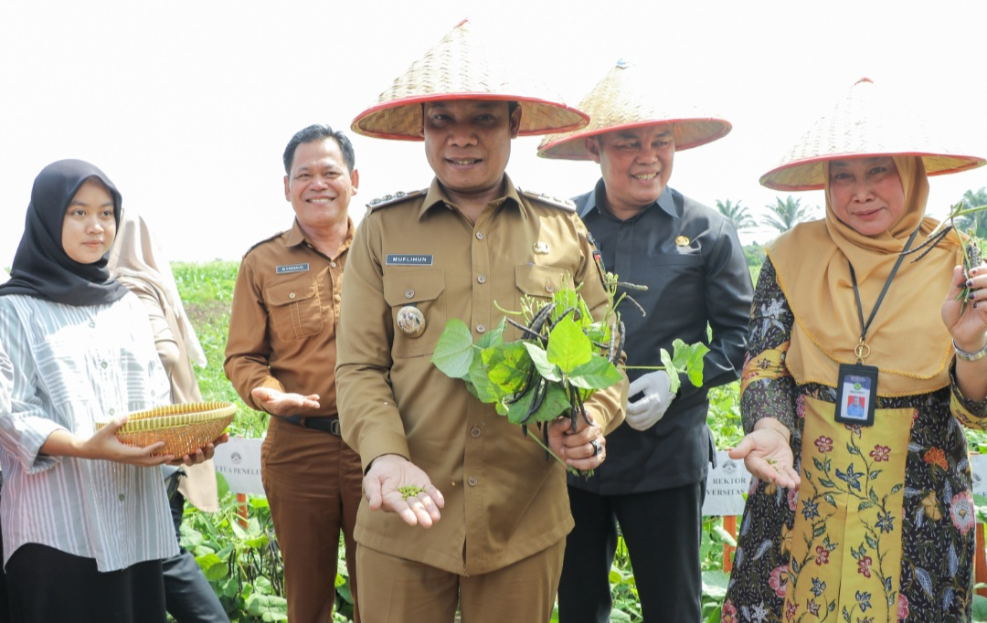 Pemko Pekanbaru Siap Berkolaborasi Terkait Pengembangan Kacang Hijau Varietas Srikandi dan Asri