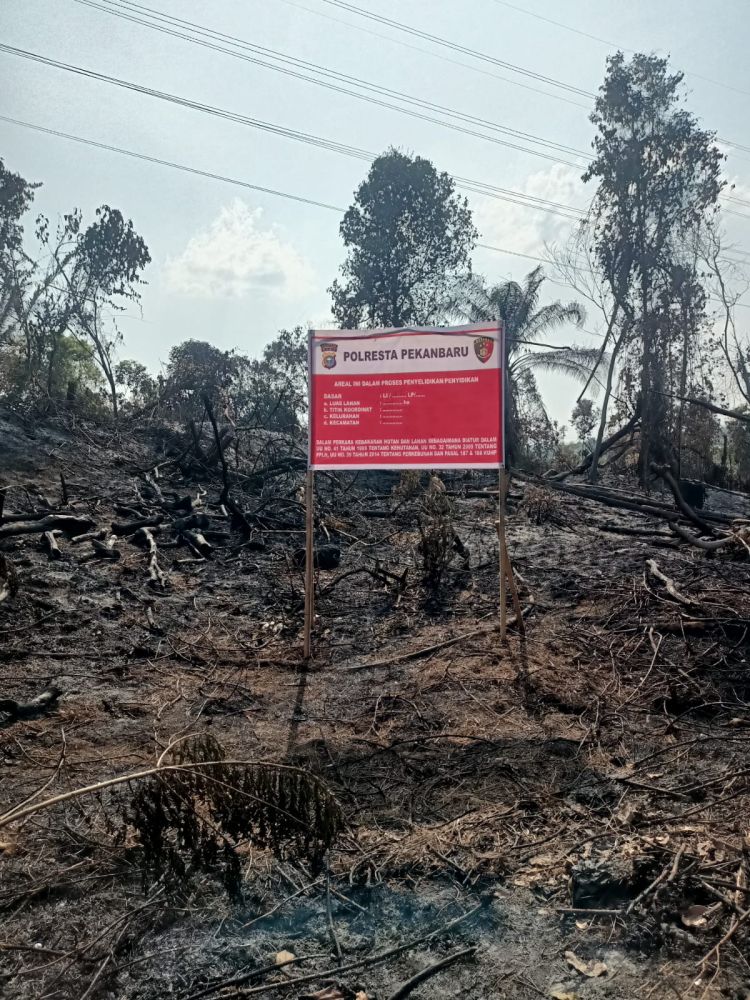 Petani Sayur Ditangkap Usai Bakar Lahan Milik PT Pertamina Hulu Rokan